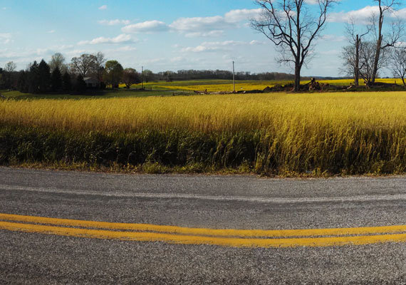 By taking sinlge shots overlapping each other and putting them into Adobe Photoshop, I was able to create a panorama of this country road in Southern Pennsylvania.