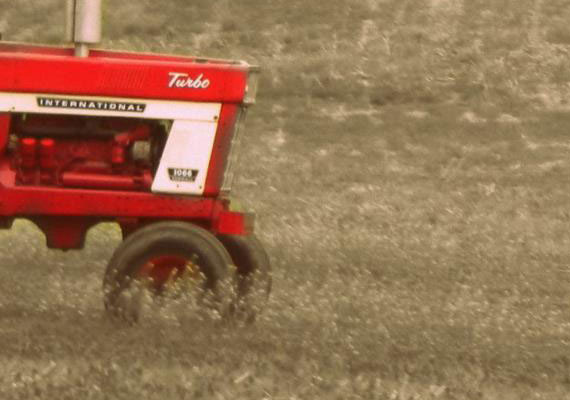 Taken in Southern Pennsylvania at a local farm.  Editing done in Adobe Photoshop.