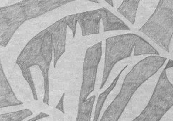 A pencil drawing of part of a plant by only drawing the negative spaces.